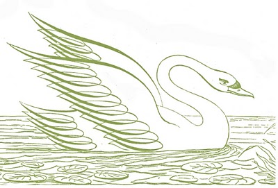 1 (42).jpg