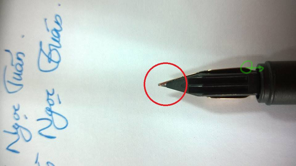 11828544_417043978485305_3514683685820283003_n copy.jpg