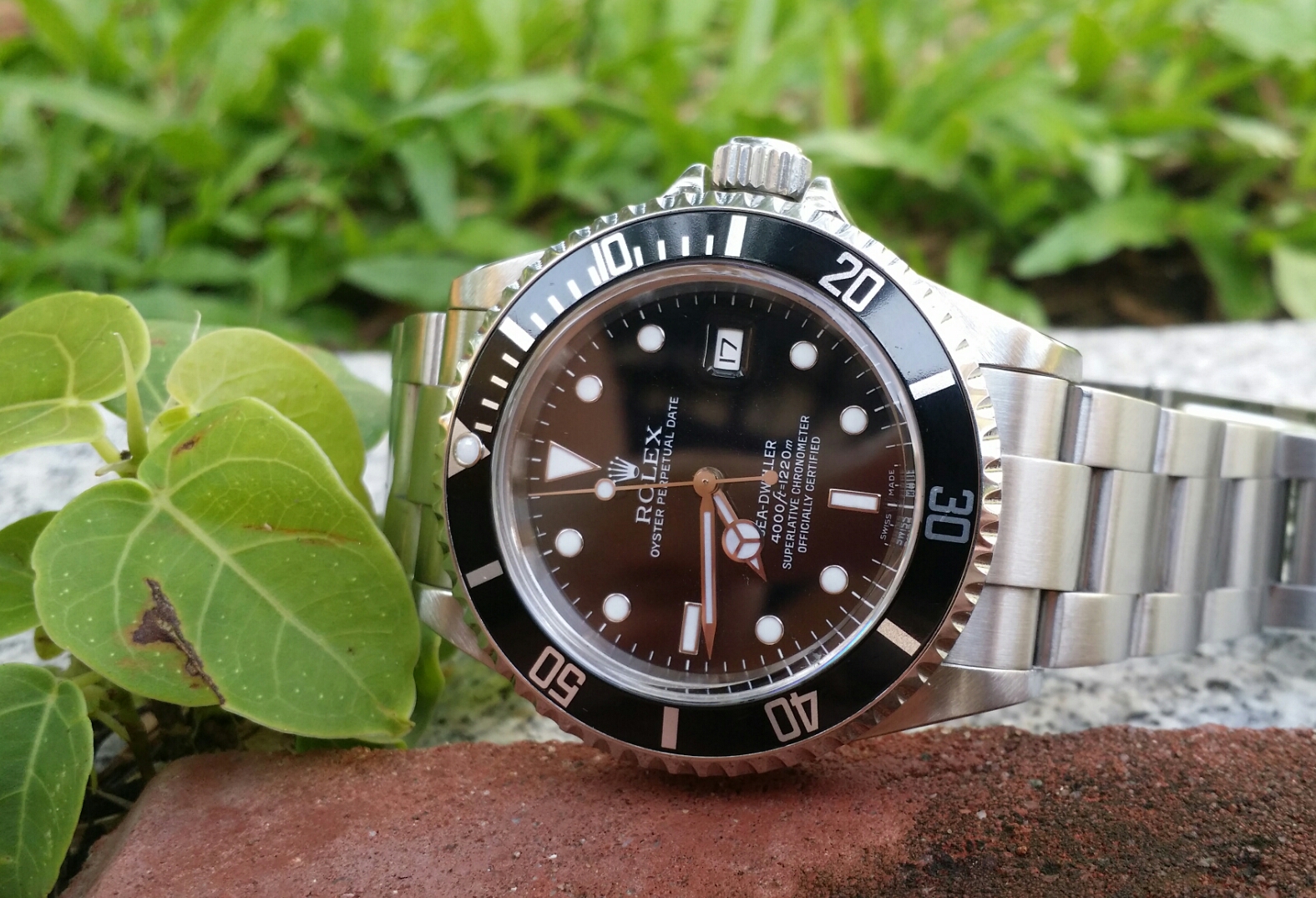 2014-08-17 07.53.42.jpg