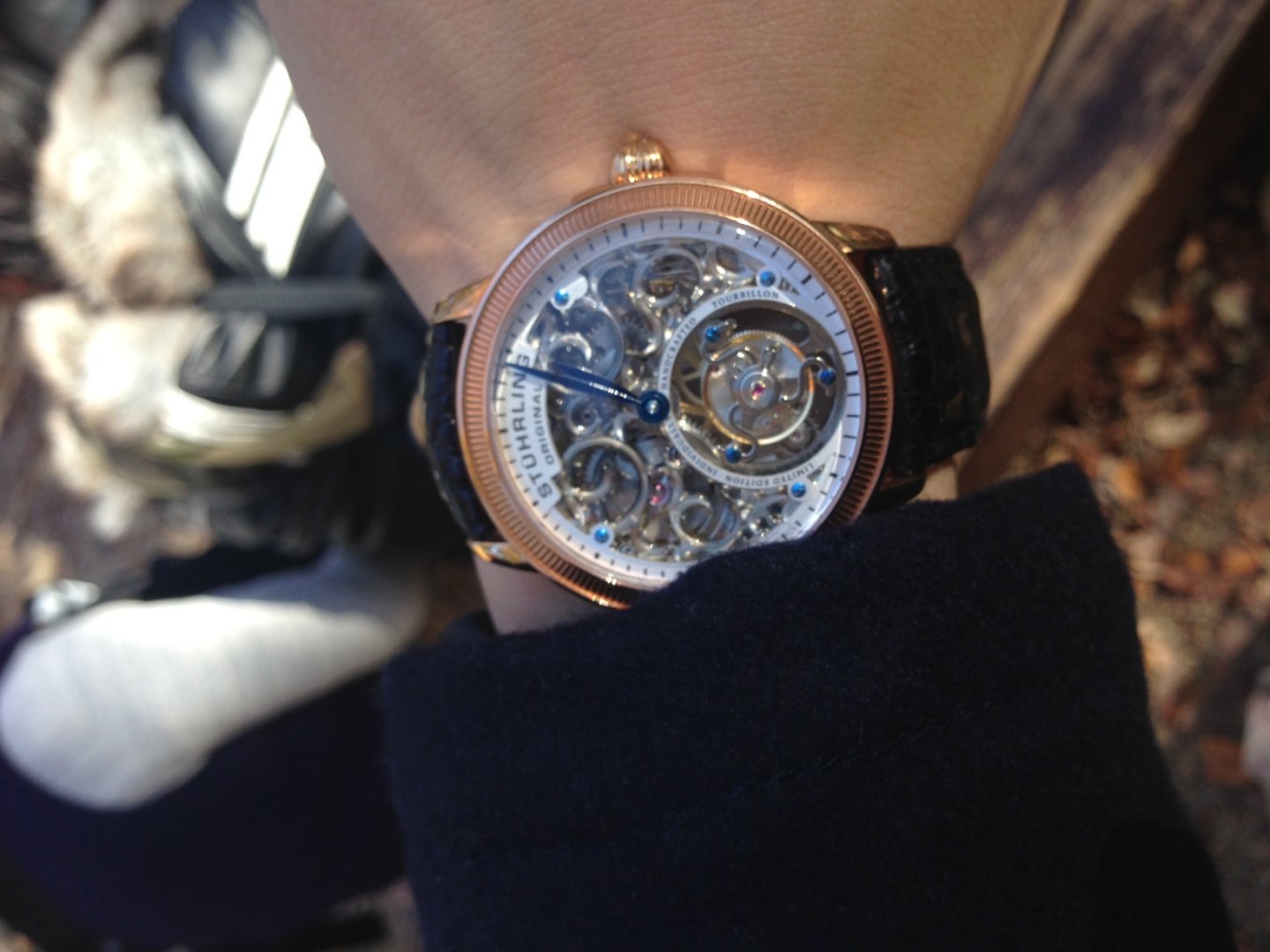 Chinese tourblion.JPG