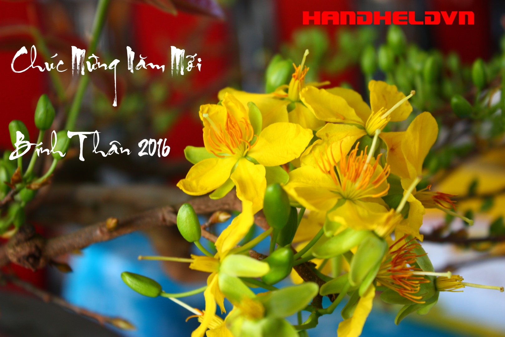 chuc mung nam moi.jpg