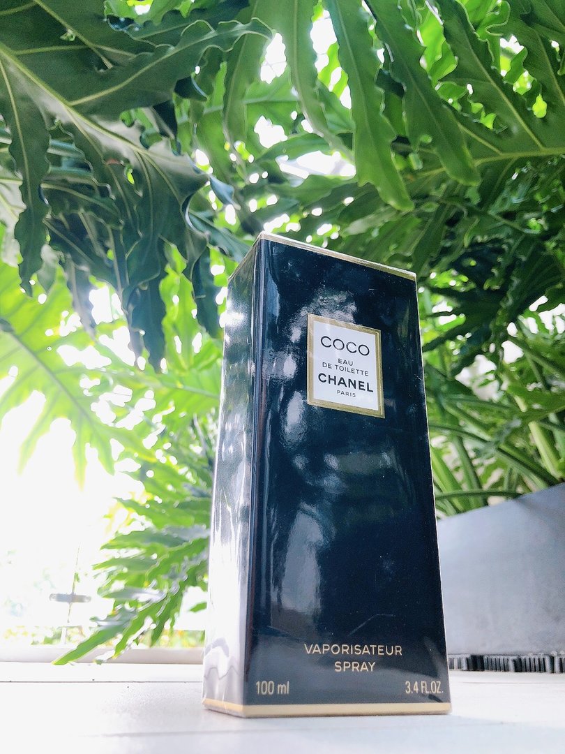 Coco Chanle 3.jpg