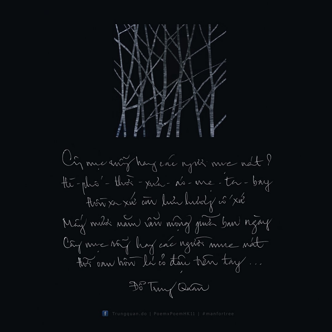 Do Trung Quan Tree (3).jpg