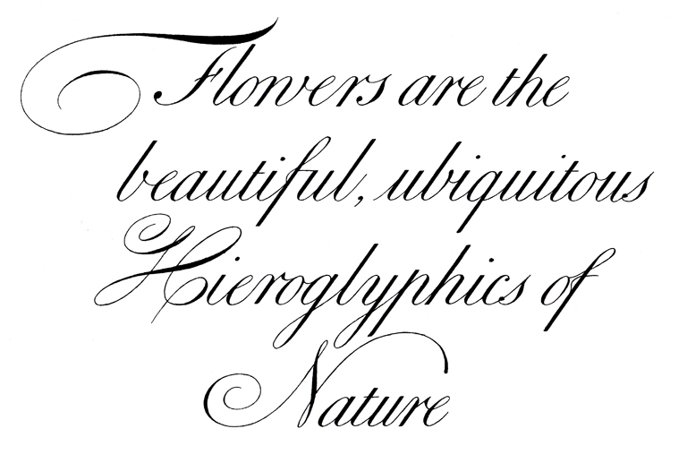Flowersare768.jpg~original.jpg