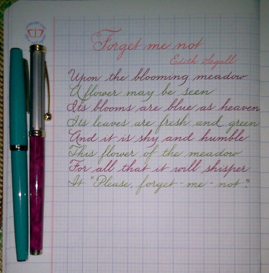 forget-me-not.jpg