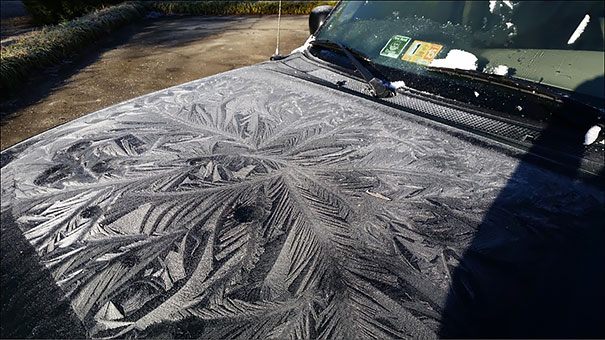 frozen-frosted-cars-31__605.jpg
