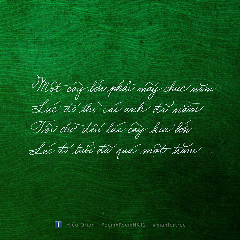 Hieu Orion Tree by PoemxPoem.jpg