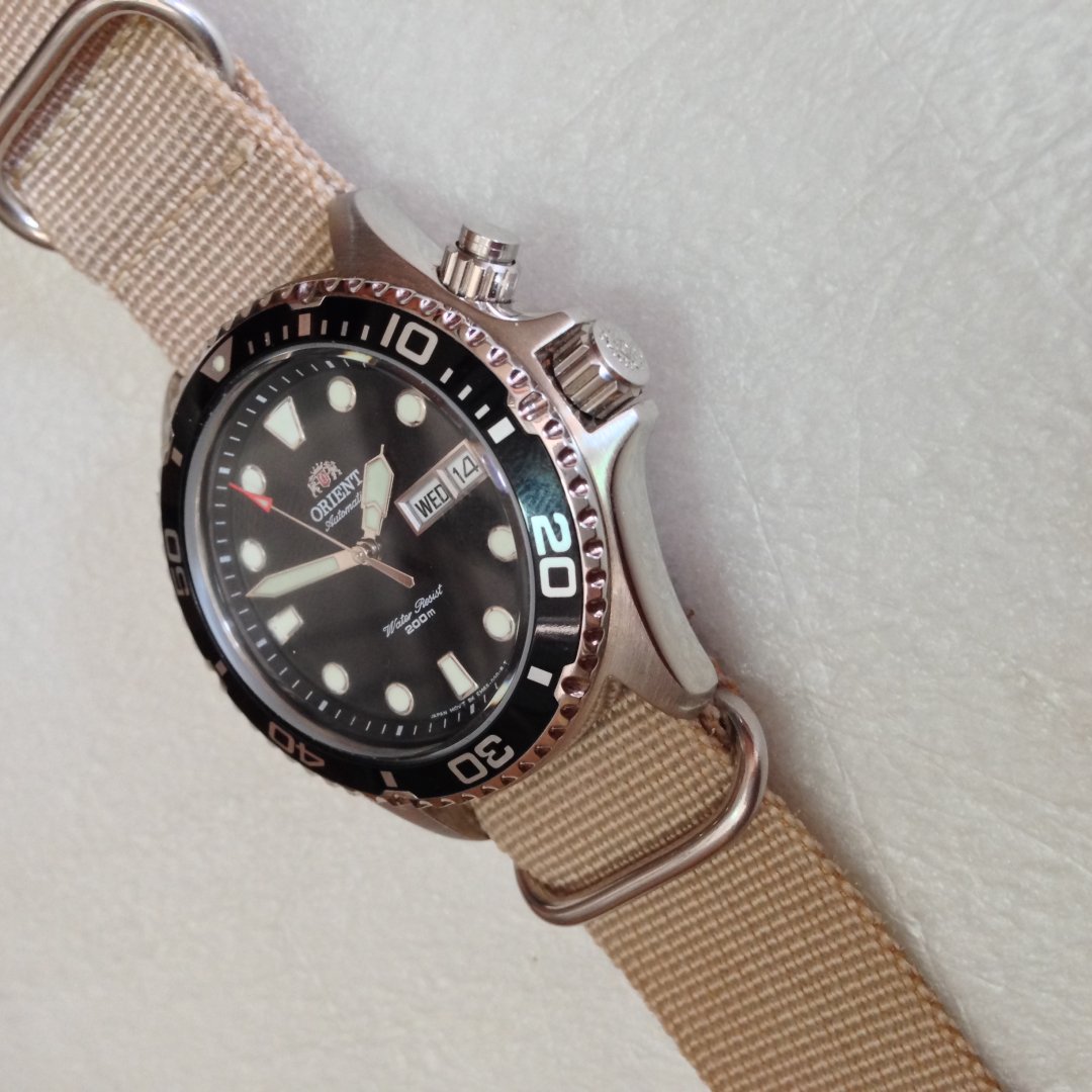 IMG_0447.JPG (2).JPG