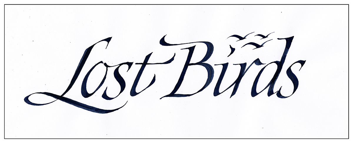 lost-birds-italic-calligraphy.jpg
