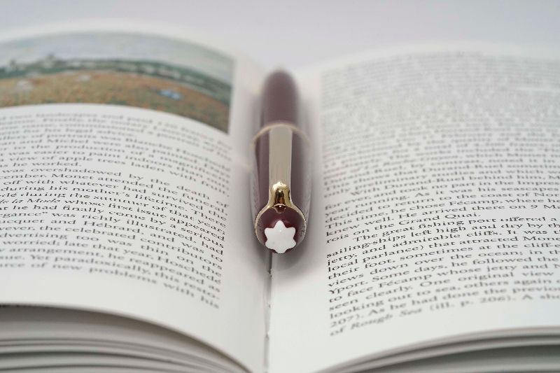 Montblanc_Meisterstuck_164R_Bordeaux_8.jpg