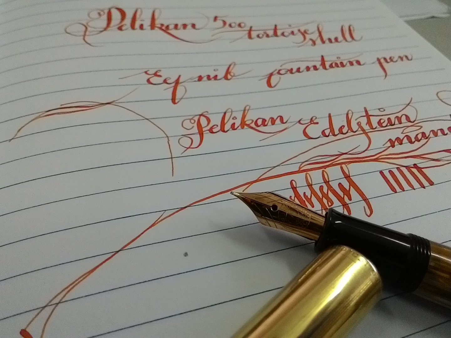 P_20150518_090257_LL[1] (1).jpg