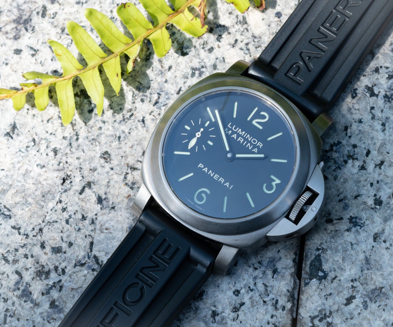 PaneraiSummer.jpg