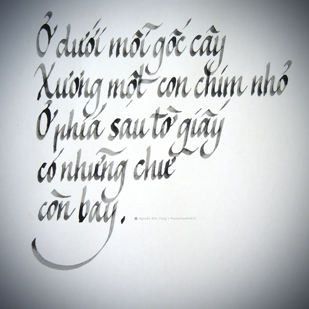 Phia khac - Nguyen Duc Tung - PxP.jpg