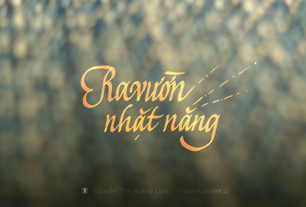 Ra vuon nhat nang - NTHL - PxP.jpg