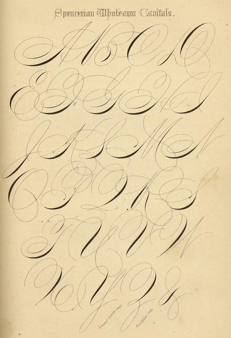 spencerian4.jpg