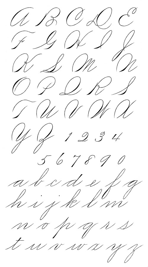 Spenceriancomplete500.jpg~original.jpg