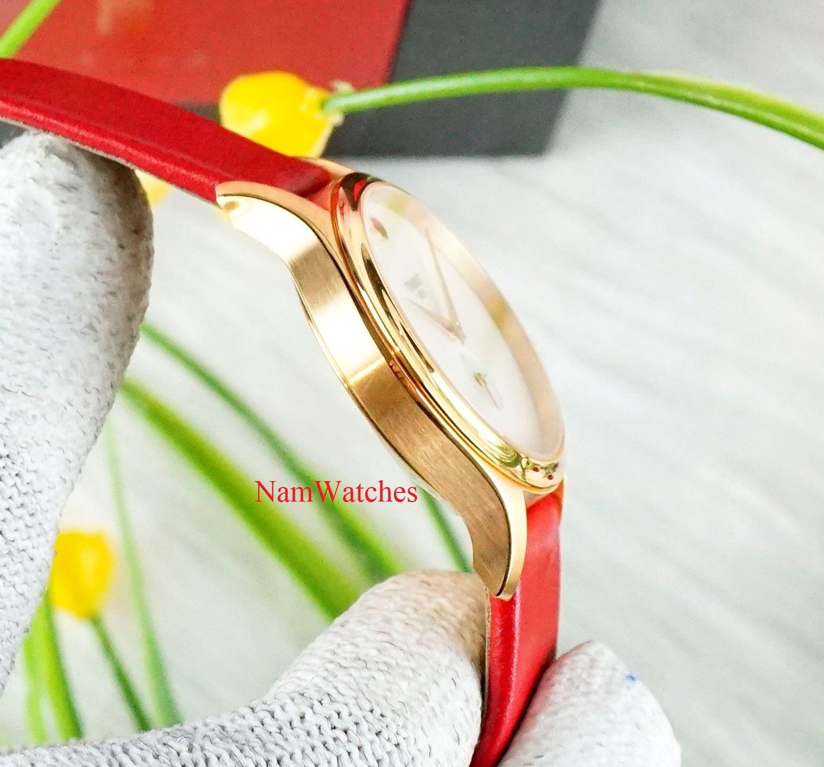 T1033103611101 (4).jpg