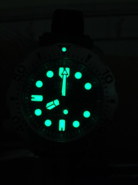 WP_000083 (Medium).jpg