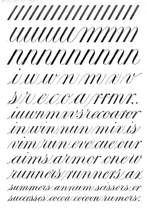 Zaner01.gif