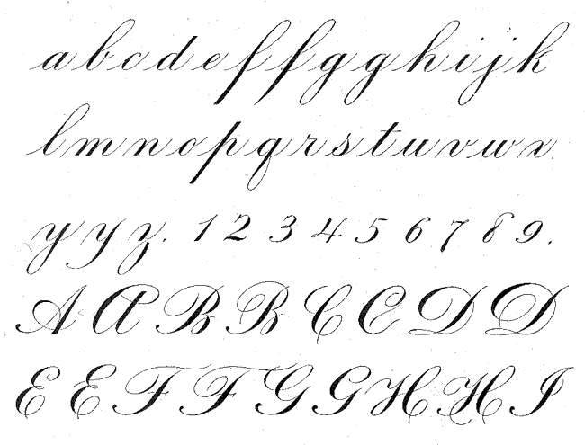 Zaner5.gif