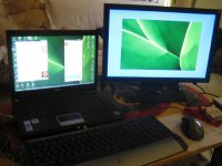 IMG_1289 (Large).JPG