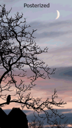 posterization_example.png