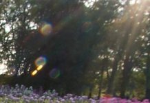 lensflare_image1-zm.jpg