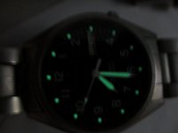 IMG_0394 [Desktop Resolution].jpg