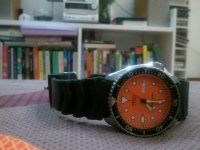 419458_10151190081119814_777606747_n.jpg 419458_10151190081119814_777606747_n.jpg