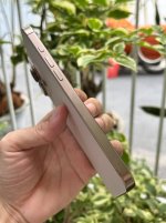 IMG_0468.jpeg