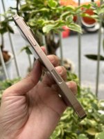 IMG_0469.jpeg