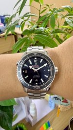 IMG_7849.jpeg