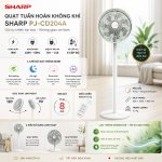 Sharp PJ CD204A JPG.jpeg