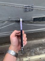 IMG_2295.jpeg