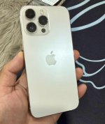 IMG_4307.jpeg