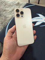 IMG_4361.jpeg