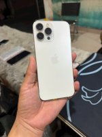 IMG_4418.jpeg