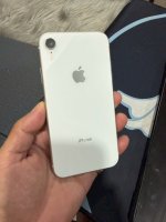 IMG_3321.jpeg