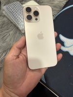 IMG_3722.jpeg
