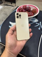 IMG_3736.jpeg
