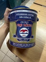 IMG_3226.jpeg