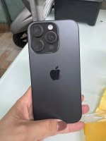 IMG_0141.jpeg