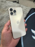 IMG_0303.jpeg
