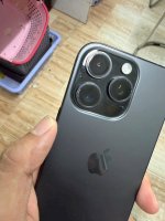IMG_0024.jpeg