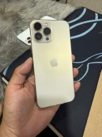 IMG_0247.jpeg