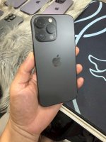 IMG_0470.jpeg