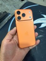IMG_0921.jpeg