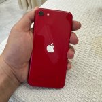 IMG_0914.jpeg