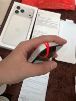 IMG_3392.jpeg