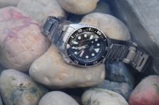 ImageUploadedByTapatalk HD1367151565.188044.jpg